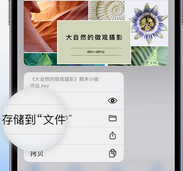 紫金apple维修中心分享iPhone文件应用中存储和找到下载文件