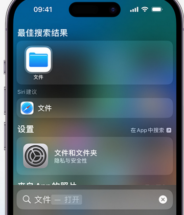 紫金apple维修中心分享iPhone文件应用中存储和找到下载文件 