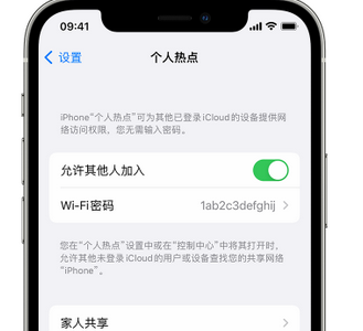 紫金apple服务站点分享iPhone上个人热点丢失了怎么办