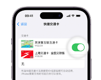 紫金apple维修点分享iPhone上更换Apple Pay快捷交通卡手绘卡面 