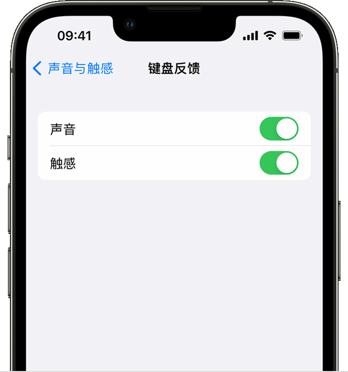 紫金苹果14维修店分享如何在 iPhone 14 机型中使用触感键盘 