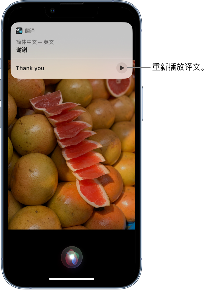 紫金苹果14维修分享 iPhone 14 机型中使用 Siri：了解 Siri 能帮你做什么 