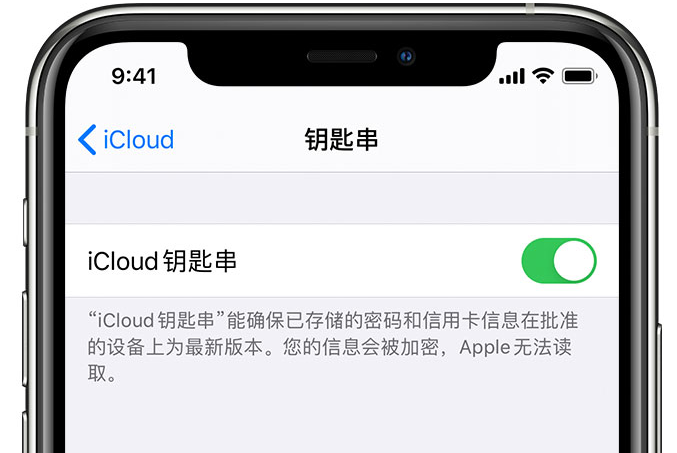 紫金苹果手机维修分享在 iPhone 上开启 iCloud 钥匙串之后会储存哪些信息 