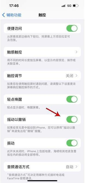 紫金苹果手机维修分享iPhone手机如何设置摇一摇删除文字 