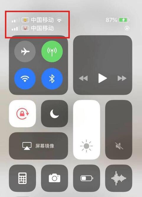 紫金苹果手机维修分享为 iPhone 12 双卡设置标签 
