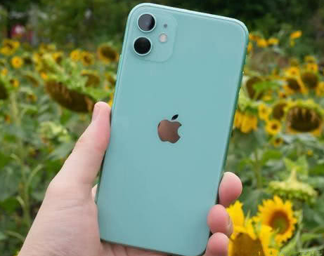 紫金苹果维修点分享iPhone 11锁屏密码认知与使用科普 